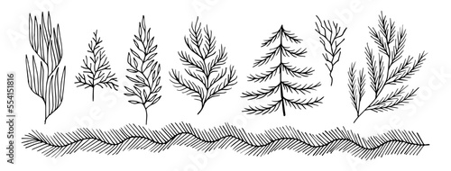 set collection plants leaves hand drawn vector. Drawing beautiful creeper leaf, decorative set.	