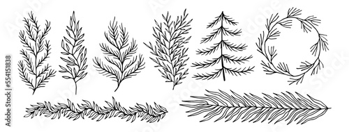 set collection plants leaves hand made, drawn vector. Drawing beautiful creeper leaf, decorative set.	