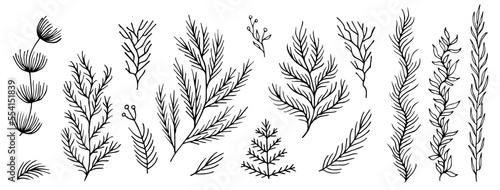 set collection plants leaves hand drawn vector. Drawing beautiful creeper leaf, decorative set.	