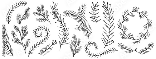 set collection plants leaves hand made drawn vector. Drawing beautiful creeper leaf, decorative set.	