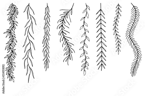 Leafs plants hand draw vector. Drawing beautiful creeper leaf, decorative set