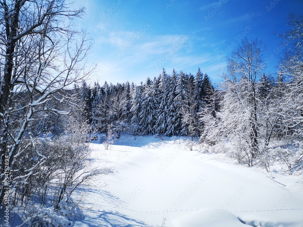 Obraz premium winter landscape in Canada