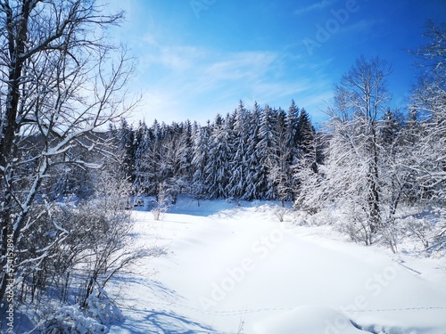 winter landscape in Canada