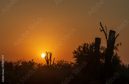 Shot of a dramatic sunset in the park. Outdoors