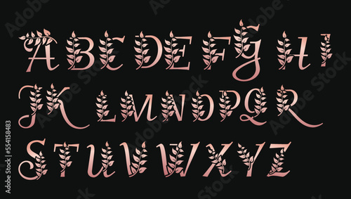 Decorative metallic Rose Gold letters abc alphabets monogram logo design template