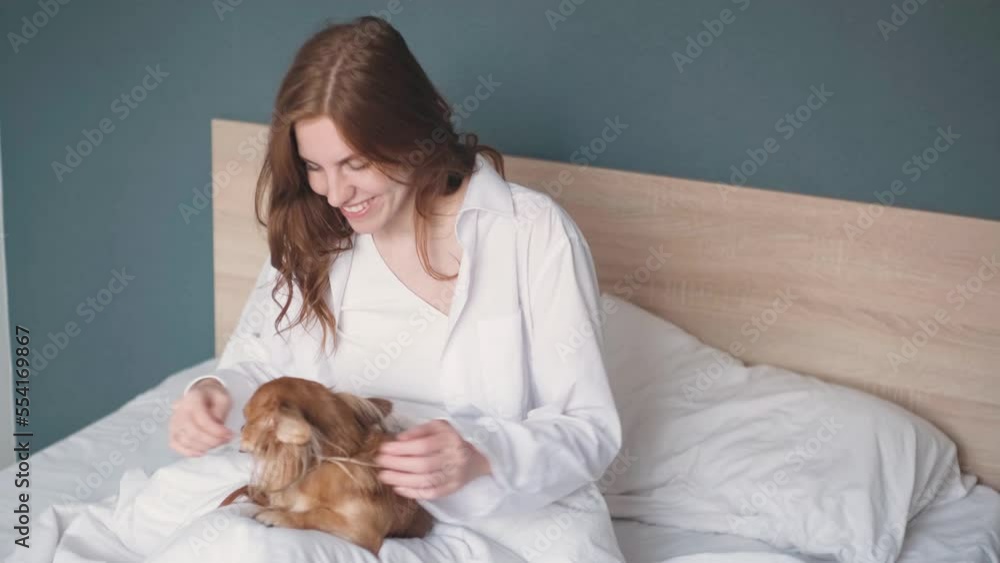 A beautiful red-haired woman sleeps in bed with her chihuahua dog. A beautiful red-haired woman sleeps in bed with her chihuahua dog.