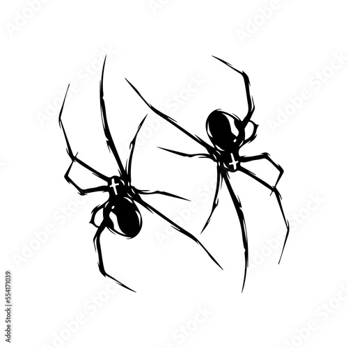 vector illustration of two spider silhouettes
