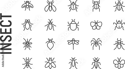 Vector set of insect thin line icons.
