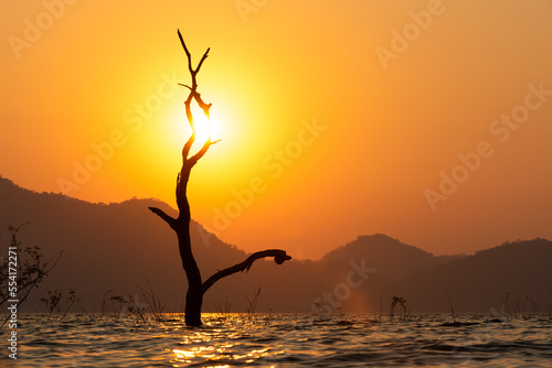View of the sunset at the lake and with dry trees