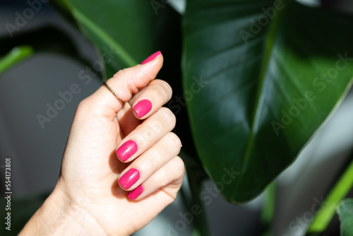 Close-up beautiful female hand with pink nails on green background. Manicure in trendy of 2023 year color viva magenta.  Soft skin  skincare concept.