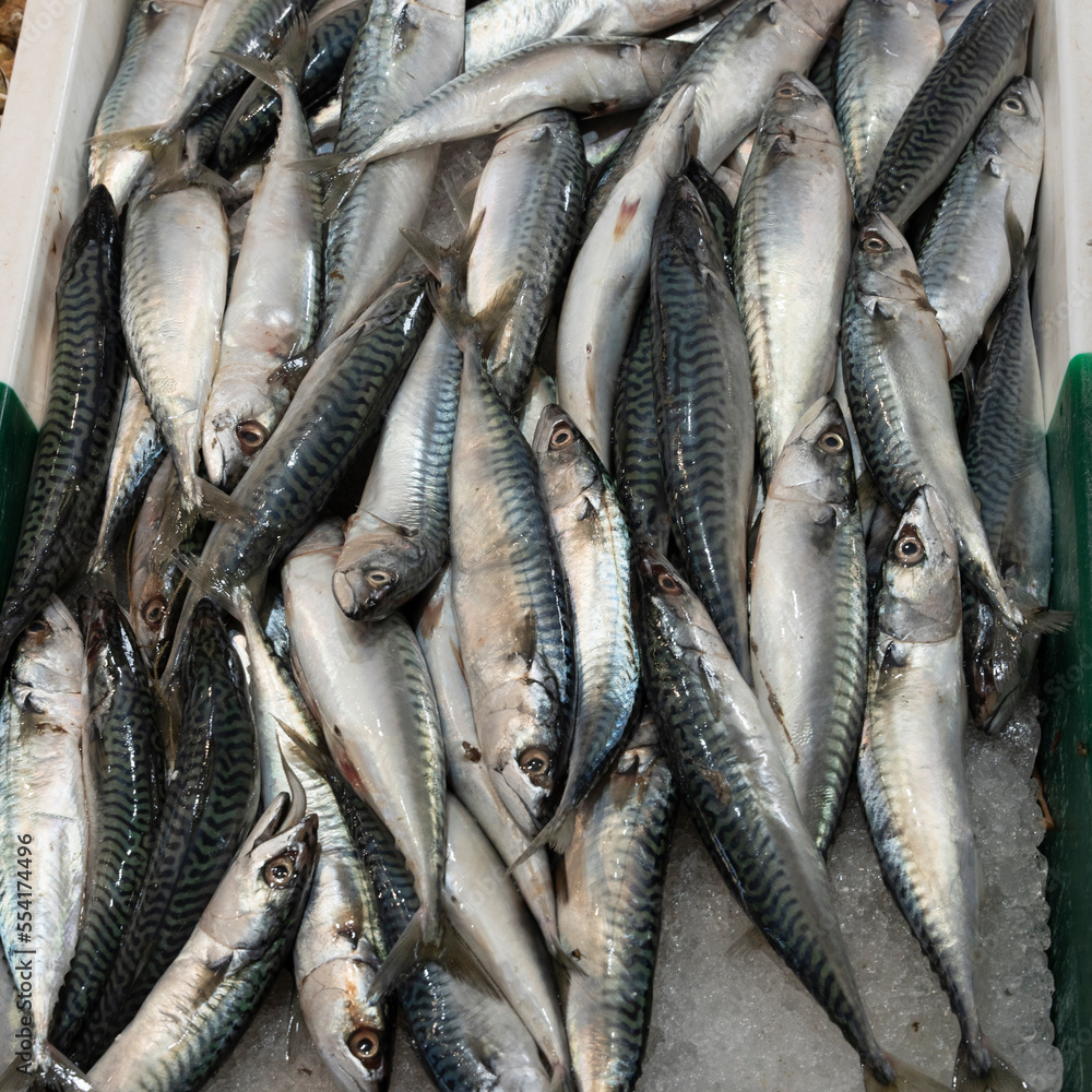 Obraz premium Mackerels on fish stall in the market of Sanary-sur-mer,