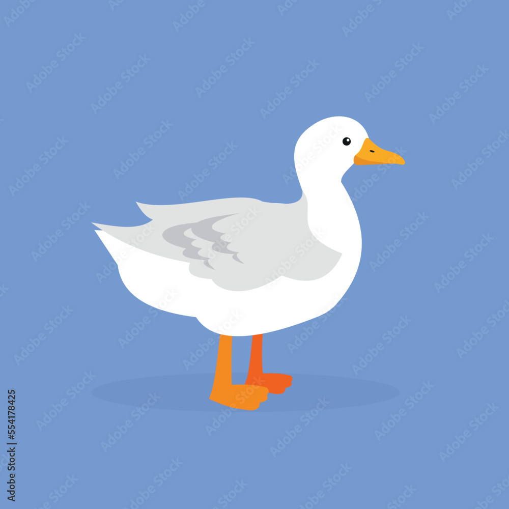 Fototapeta premium Duck - side view, illustration, vector