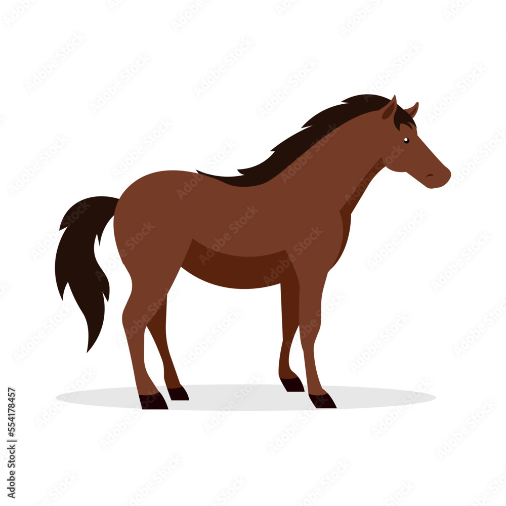 Horse, side view, illustration, vector Horse, side view, illustration, vector