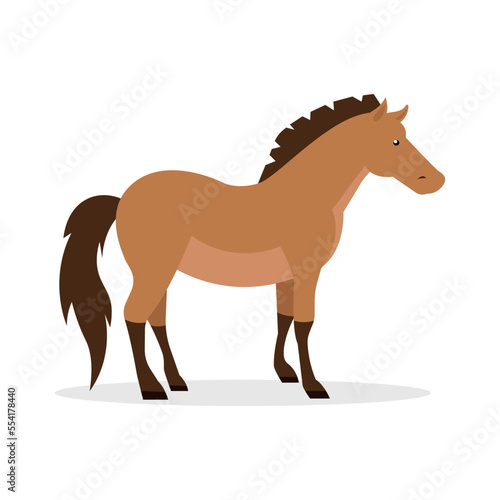 Brown horse - side view  illustration