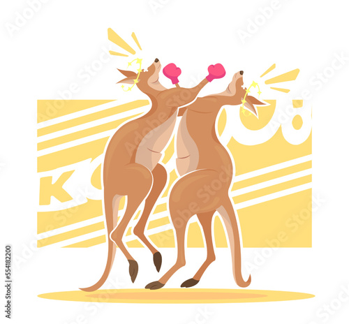 Kangaroo characters boxing. Wildlife australian animals jumping and fighting.Vector kangaroo in action. Kangaroo in knockout