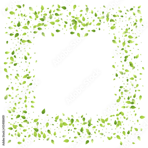 Leaves Green Falling Flying Foliage Leaf Tea Mint
