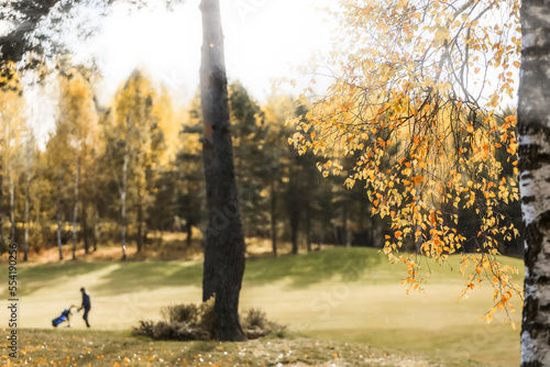 Golf course, landscape, autumn leaves against the backdrop of a forest and a golfer on the field