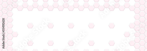 Light Pink Hexagon Frame On White Backgrounds. Abstract Pattern Tiles. Abstract Tortoiseshell. Abstract Honeycomb. Sweet Pastel Soft Color