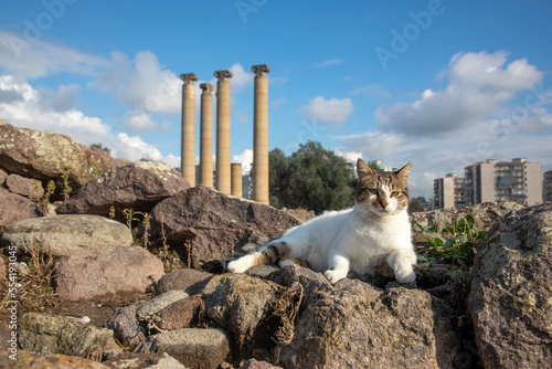 Izmir Smyrna Bayrakli ancie...