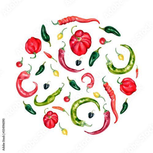 Circle of various hot peppers watercolor illustration isolated on white.