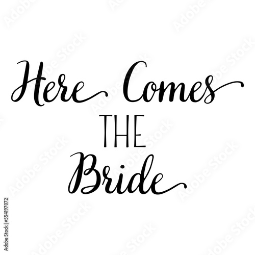 Team Bride quote. Wedding, bachelorette party, hen party or bridal shower handwritten calligraphy card, banner or poster graphic design lettering vector element.