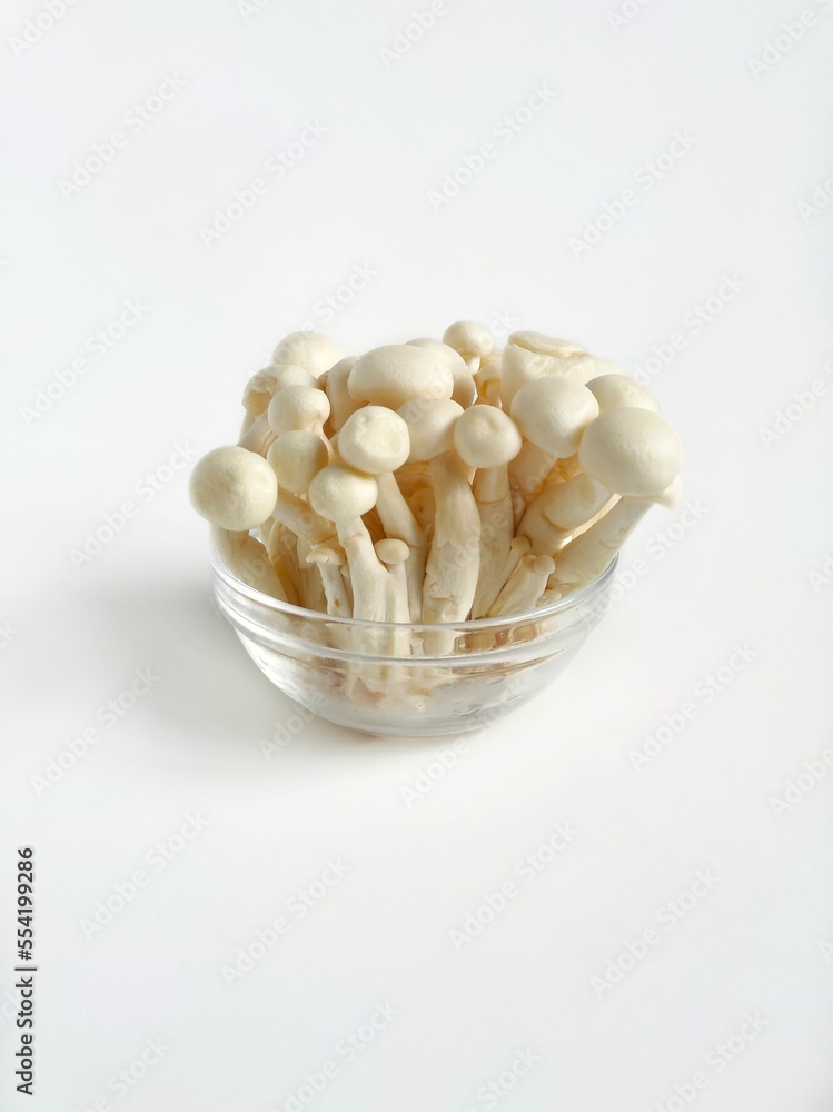 White shimeji mushroom in a small glass bowl with white background White shimeji mushroom in a small glass bowl with white background