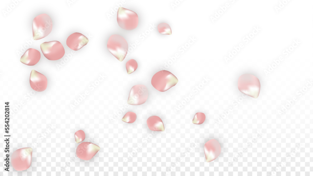 Pink Vector Realistic Petals Falling on Transparent Background. Spring Romantic Flowers Illustration. Flying Petals. Sakura Spa Design. Blossom Confetti. Design Elements for Wedding Decoration. Pink Vector Realistic Petals Falling on Transparent Background. Spring Romantic Flowers Illustration. Flying Petals. Sakura Spa Design. Blossom Confetti. Design Elements for Wedding Decoration.