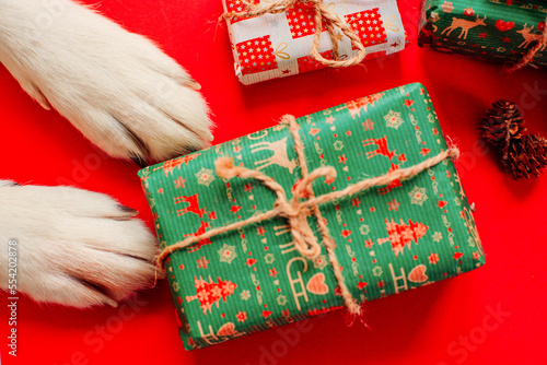 christmas background with cute dog paws - presents and decor on red copy space. 