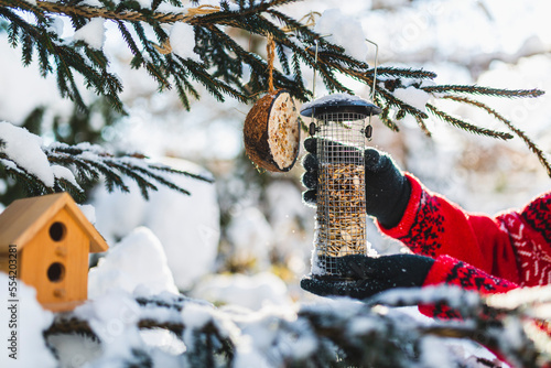 Feeding birds in winter. Woman with bird food. Bird feeders.