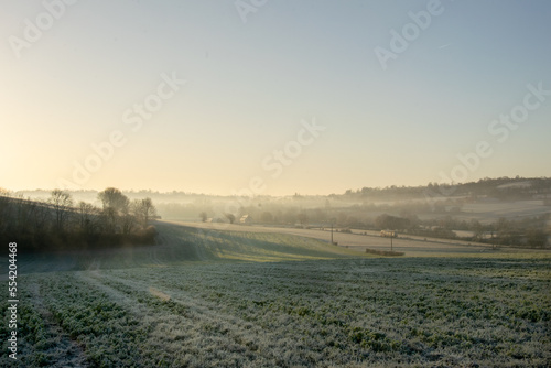 Fototapeta Brume matinale, sol gelé, en Seine-Maritime, Normandie, France