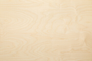 High key birch wood plank natural texture, plank texture background, plank tabletop background.