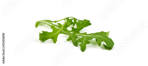 Fresh arugula, ruccola leaves, isolated on white background © GSDesign