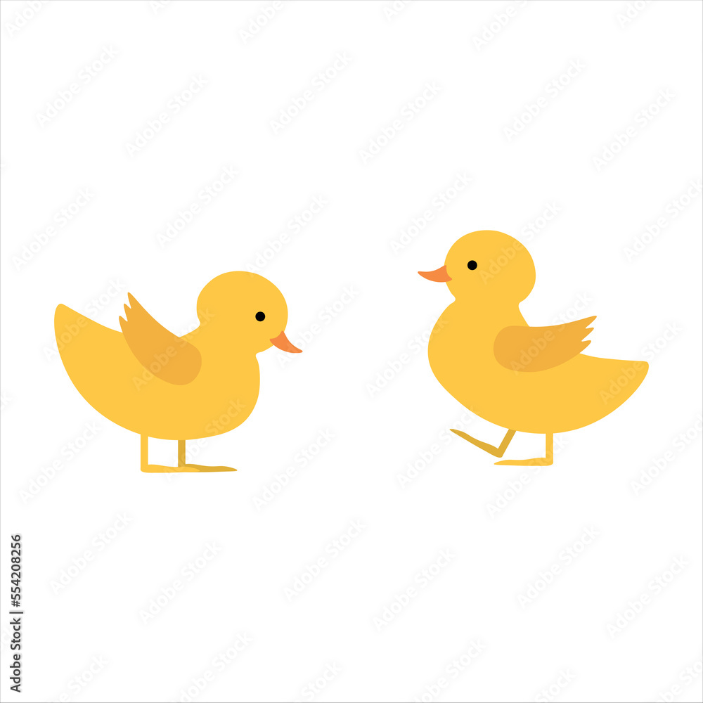 Two Cute Ducklings