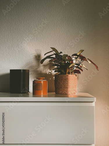 Home with Sonos speaker, candle and Plant photo
