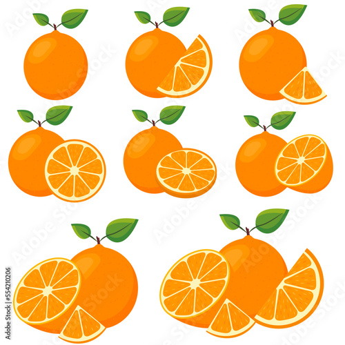 Vector image of an orange. The concept of healthy food and fresh fruit. Juicy fruits  orange snacks  vegetarian dishes. Delicious citrus.
