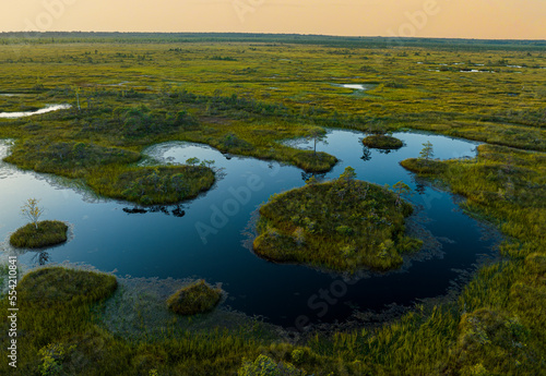 Swamp Yelnya on sunset landscape. Wild mire of Belarus. East European swamps and Peat Bogs. Ecological reserve in wildlife. Marshland with islands and pine trees. Swampy land and wetland, marsh, bog. © MaxSafaniuk