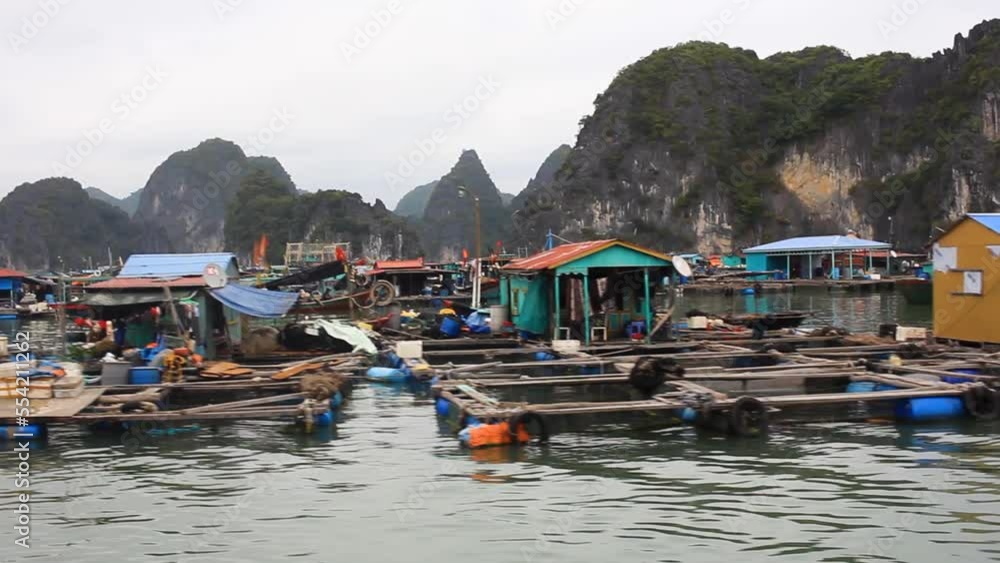 traditional floating village in Halong Bay, Cat Ba, Vietnam, poor fishermen living and working in floating houses traditional floating village in Halong Bay, Cat Ba, Vietnam, poor fishermen living and working in floating houses