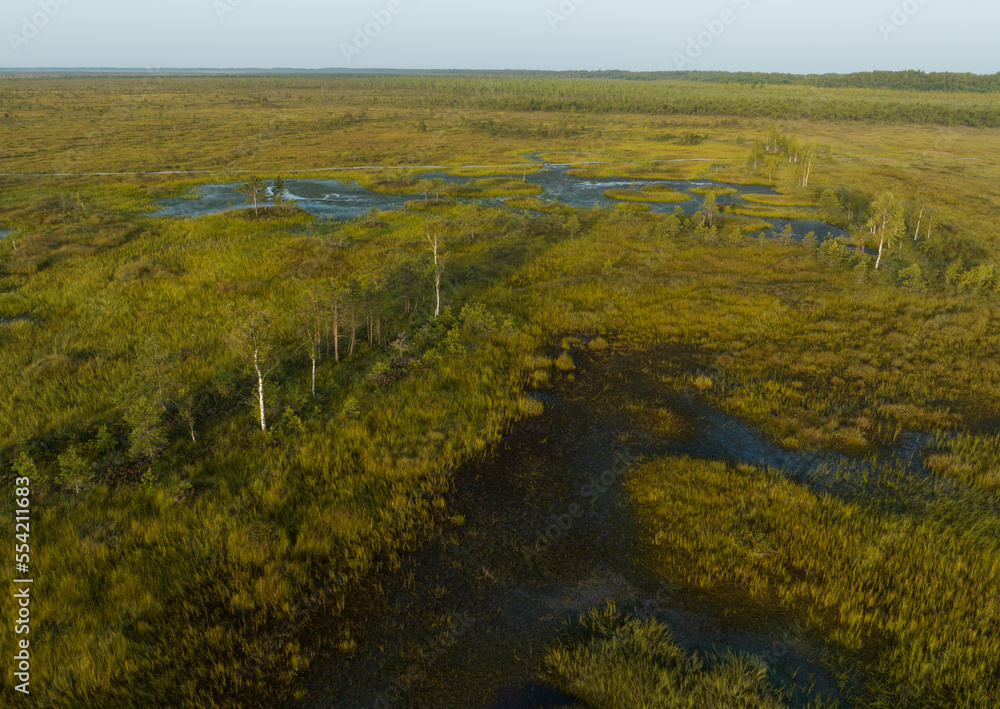 Swamp landscape, drone view. Yelnya Wild mire of Belarus. East European swamps and Peat Bogs. Ecological reserve in wildlife. Marshland with islands and pine trees. Swampy land, wetland, marsh, bog. Swamp landscape, drone view. Yelnya Wild mire of Belarus. East European swamps and Peat Bogs. Ecological reserve in wildlife. Marshland with islands and pine trees. Swampy land, wetland, marsh, bog.