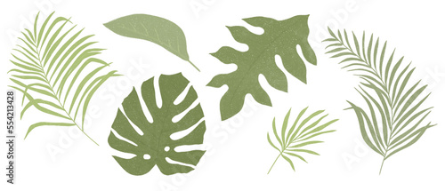 tropical leaves icons on transparent background photo