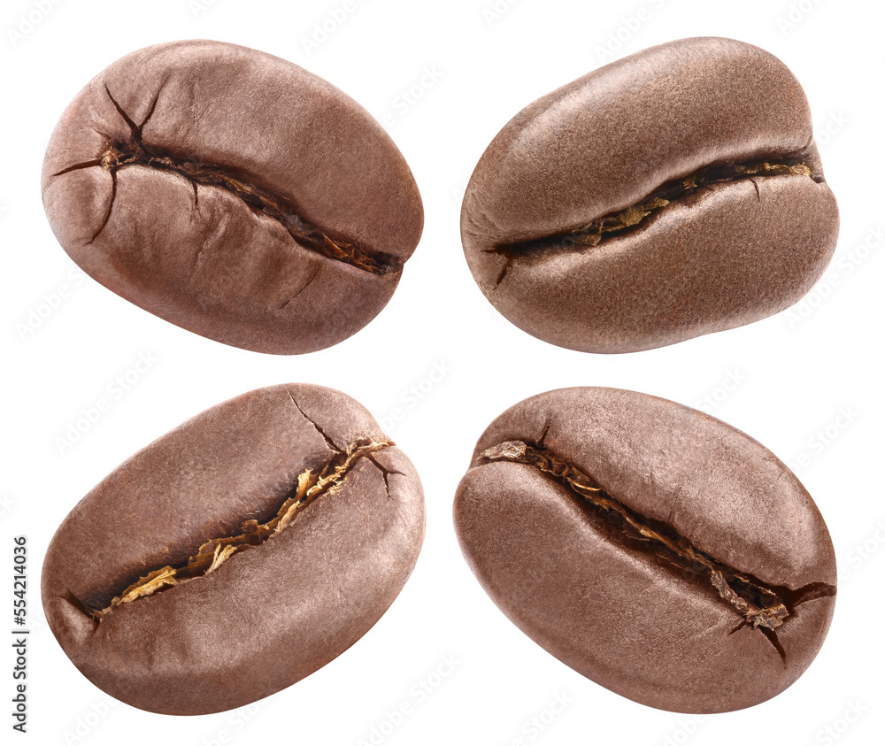 Fototapeta premium Collection of delicious roasted coffee beans, isolated on white background
