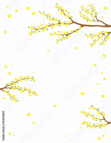 Yellow apricot blossoms, flowers, tree branches in bloom background. Traditional Asian style vector illustration. Design concept spring, Vietnamese Lunar New Year Tet promotion, sale, advertising