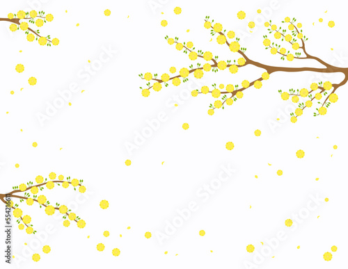 Yellow apricot blossoms, flowers, tree branches in bloom background. Traditional Asian style vector illustration. Design concept spring, Vietnamese Lunar New Year Tet promotion, sale, advertising