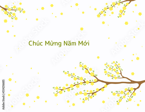 Yellow apricot blossoms  flowers  tree branches in bloom  Vietnamese text Happy New Year. Traditional Asian style background. Vector illustration. Design concept for spring  Lunar New Year Tet sale