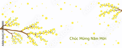 Yellow apricot blossoms, flowers, tree branches in bloom, Vietnamese text Happy New Year. Traditional Asian style background. Vector illustration. Design concept for spring, Lunar New Year Tet sale