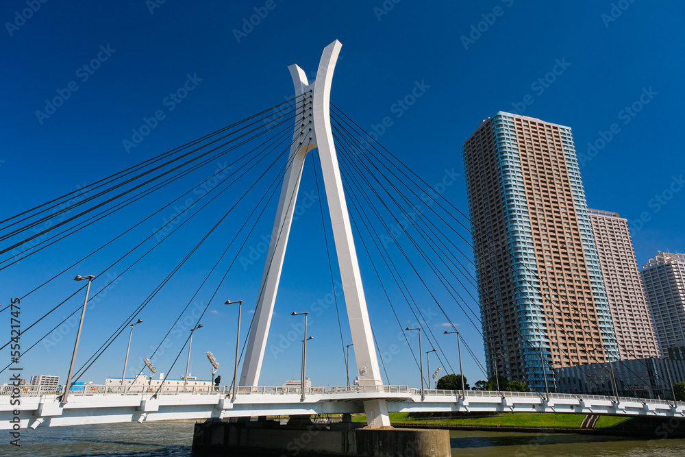 東京都中央区 隅田川に架かる中央大橋