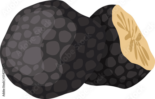 truffle mushroom cartoon vector. cut slice, food ingridient, organic gourmet truffle mushroom sketch. isolated illustration