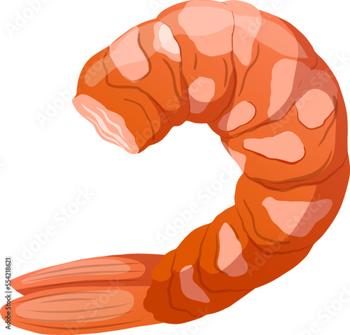 shrimp peeled cartoon. prawn raw, cooked meat, fresh pink king fish shrimp peeled vector illustration