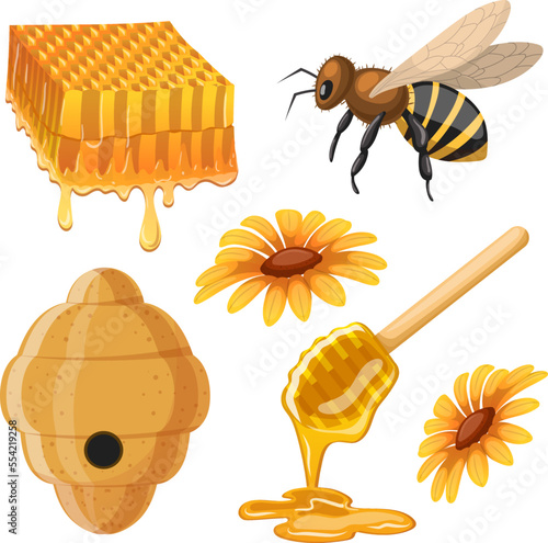 honey bee set cartoon. honeycomb food, dipper liquid, organic yellow jar dtop syrup honey bee vector illustration