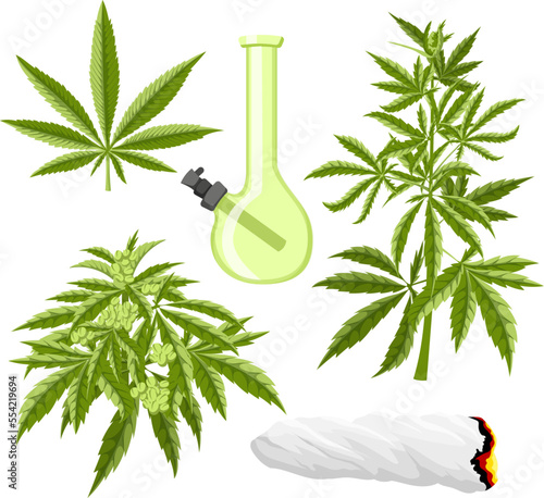 cannabis marijuana set cartoon. plant hemp, weed nedical, farm leaf grow, cbd green oil cannabis marijuana vector illustration