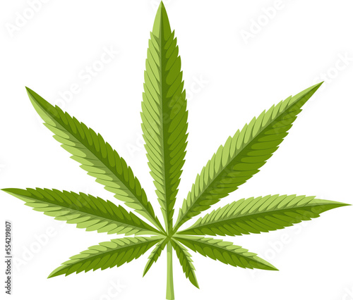 cannabis plant cartoon. marijuana hemp weed, medical flower, medicine agriculture cannabis plant vector illustration